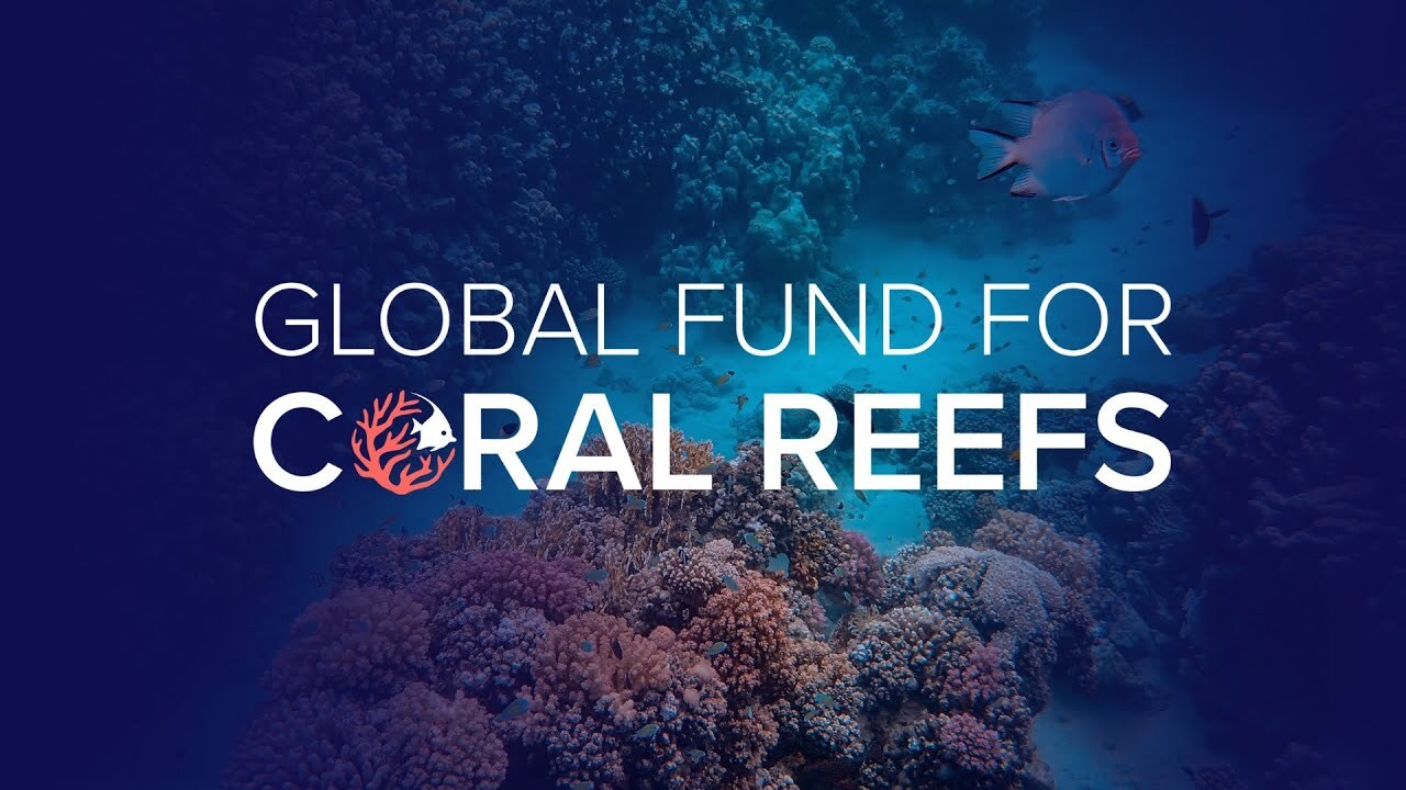 Global Fund for Coral Reefs - Sea Forward Ocean Health