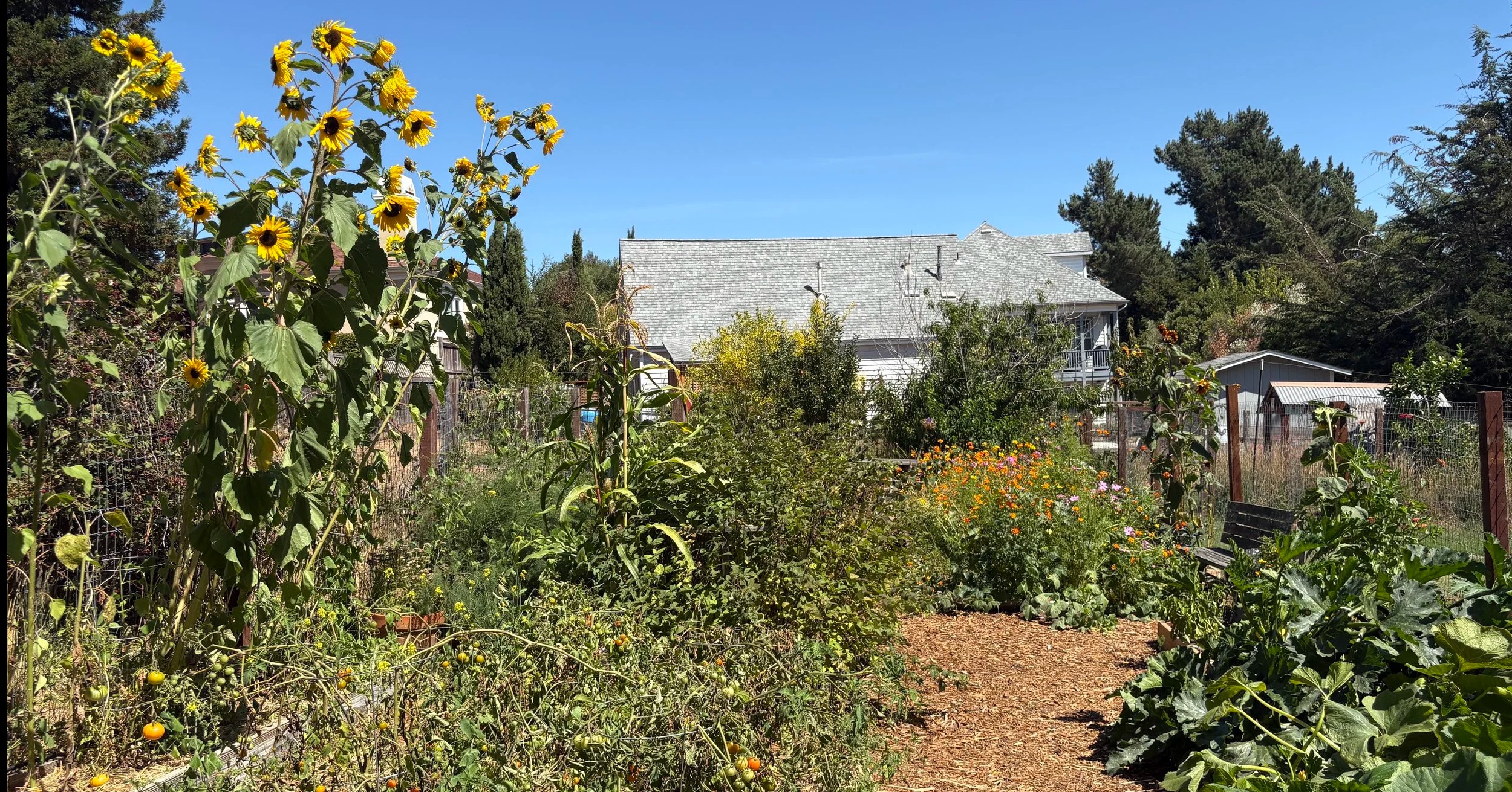 Thriving Communities Fund