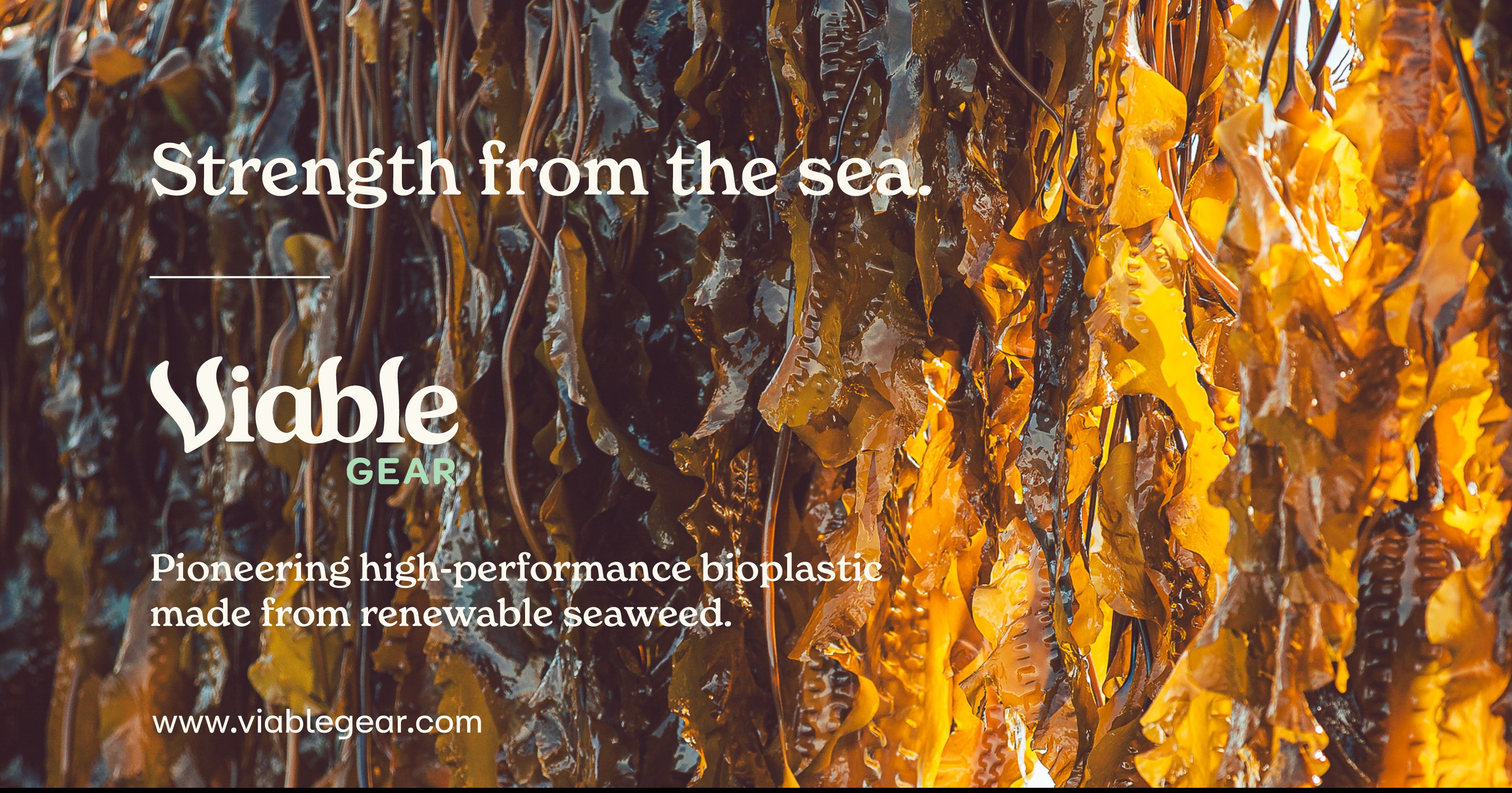 Viable Gear - Strength from the Sea