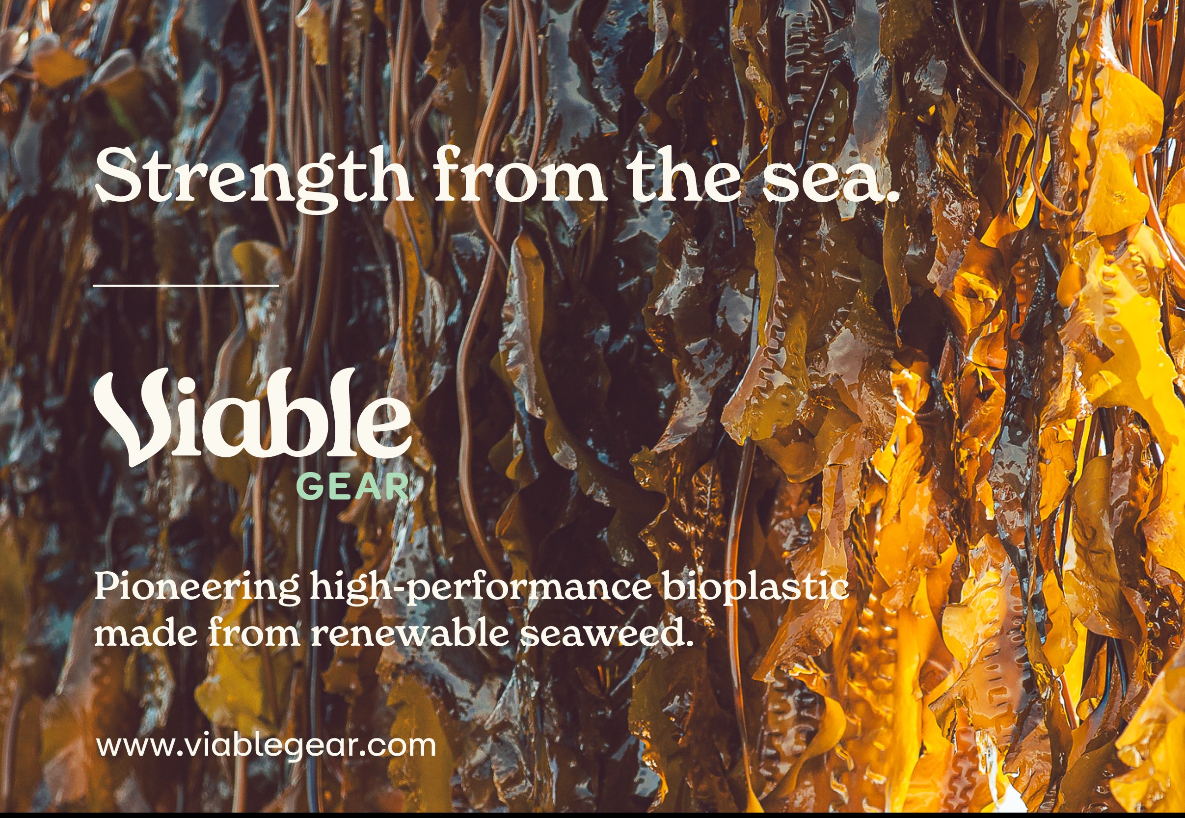 Viable Gear - Strength from the Sea