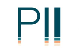 Palestinian Impact Initiative Fund