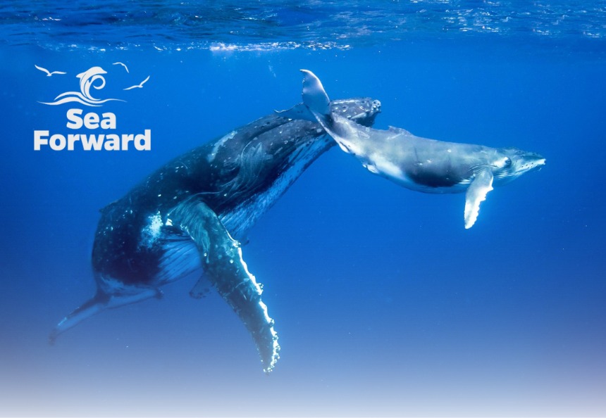 Sea Forward Ocean Health Fund