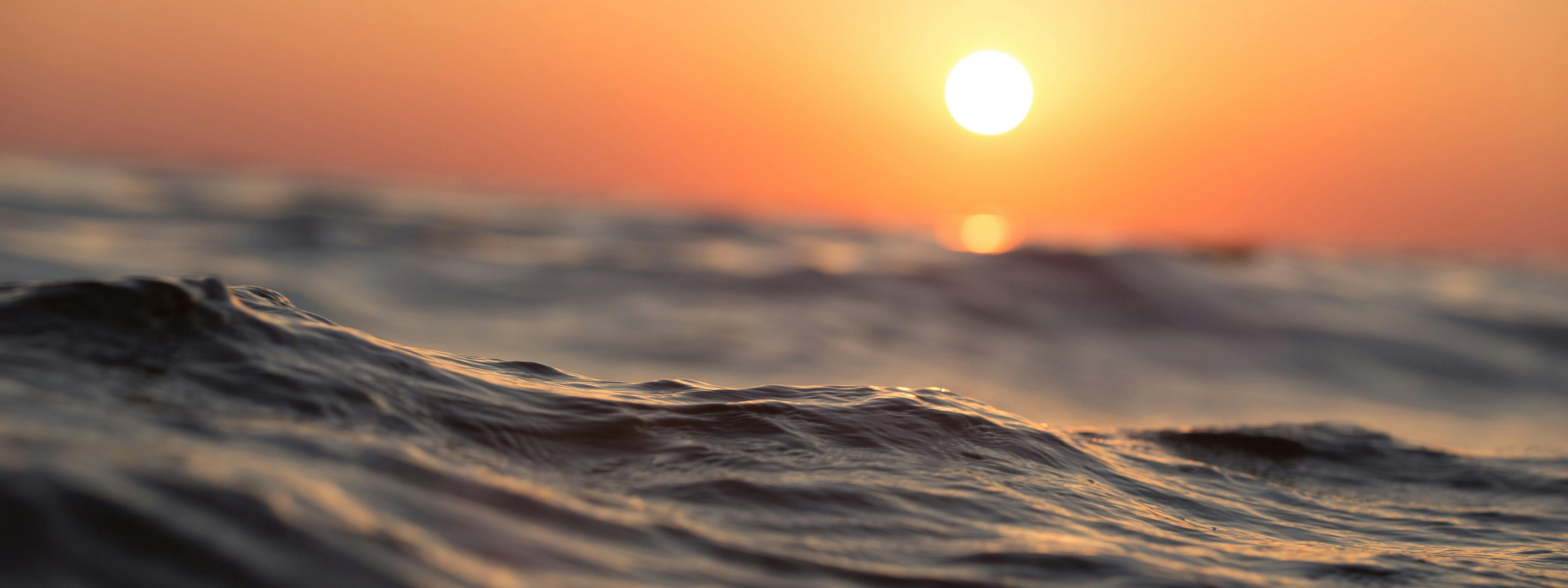 Sea Forward Ocean Health