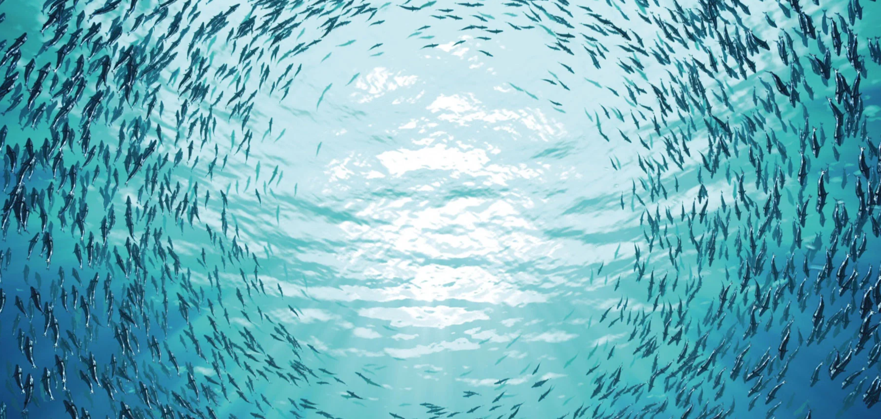 Investing in Ocean Solutions