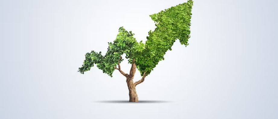DAF Commons: DAF Impact Investing 101